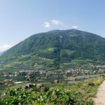 Weinanbau in den Bergen mit Panoramablick über das Meraner Land